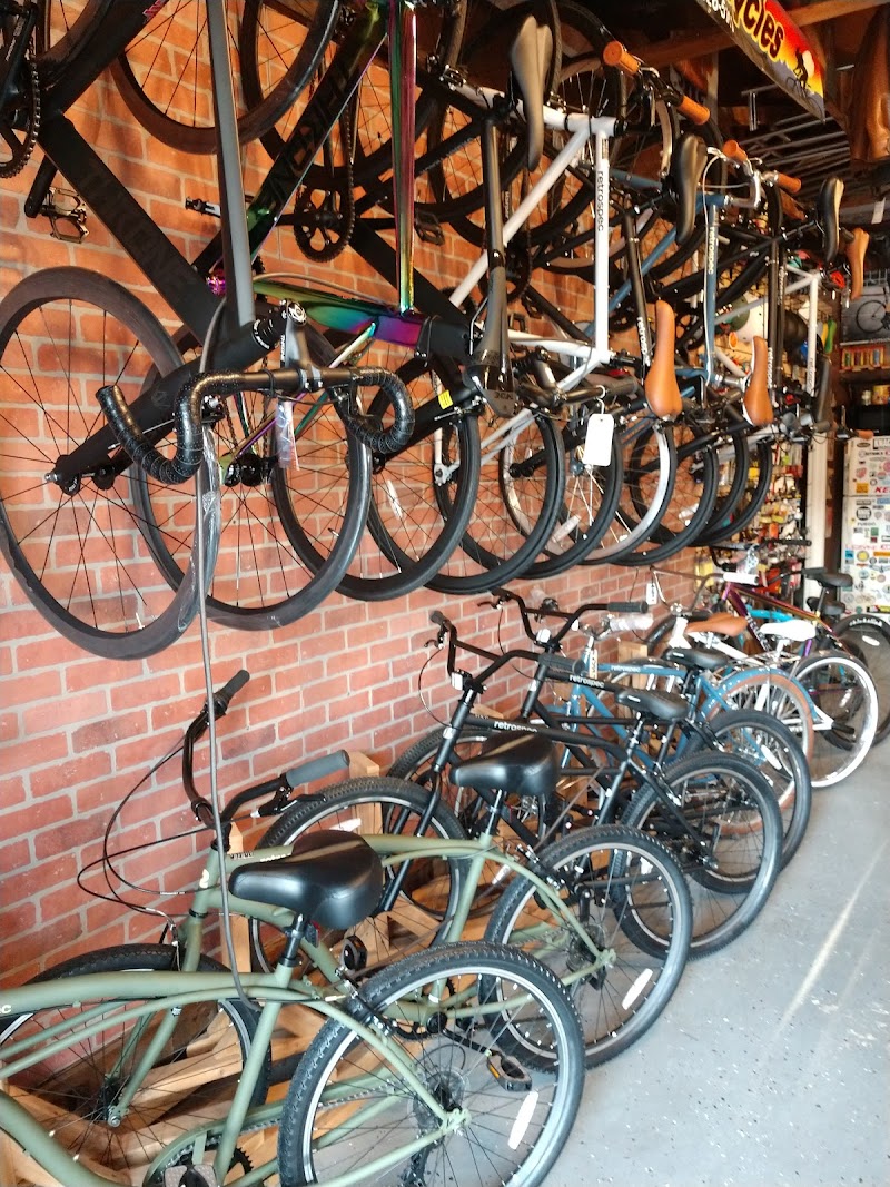 The Zoo Cycles cover image