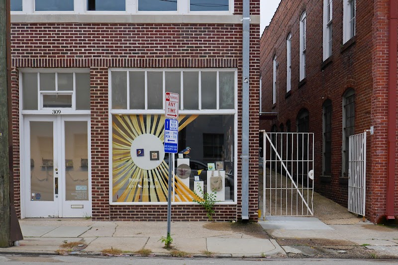 VAE Raleigh cover image