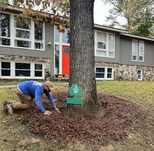 ACE Tree Service cover image