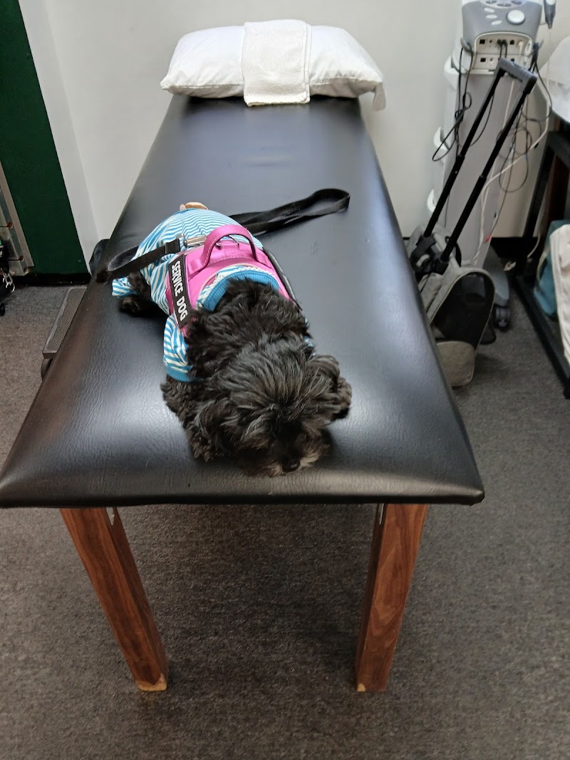 Forest Hill Physical Therapy cover image