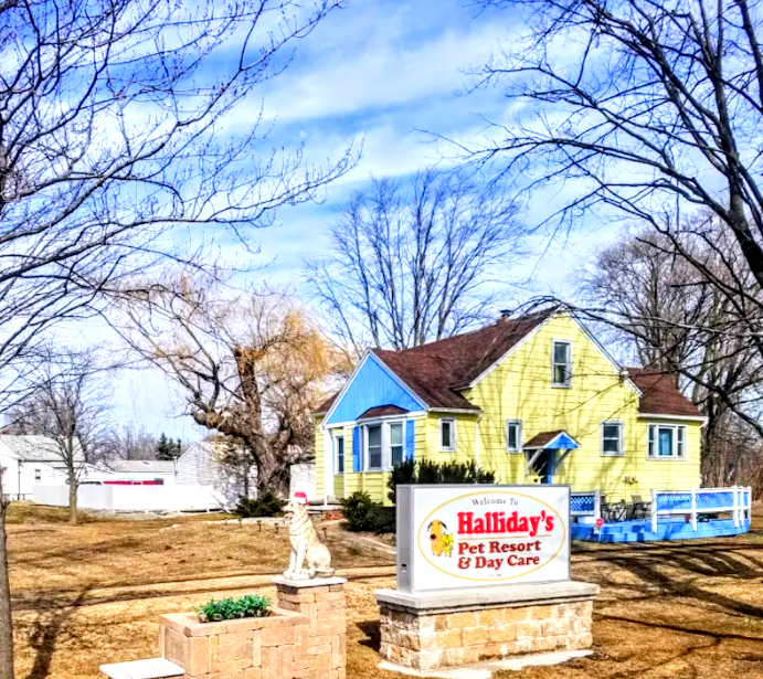 Halliday's Pet Resort & Day Care cover image