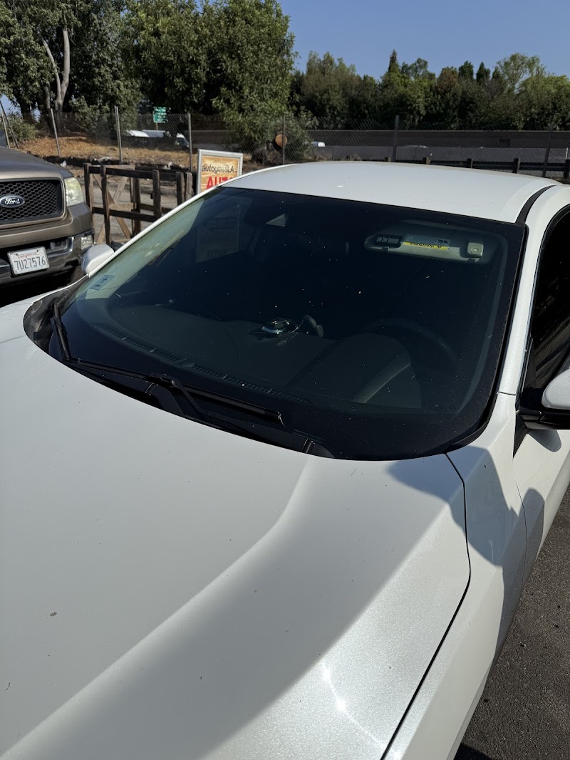 LA Windshield cover image