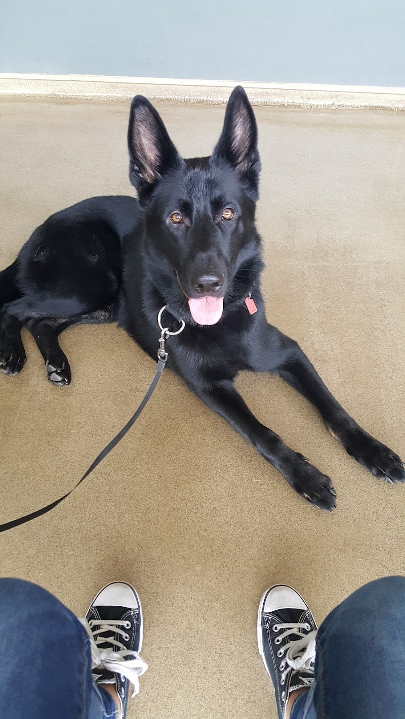 Town & Country Veterinary Hospital cover image