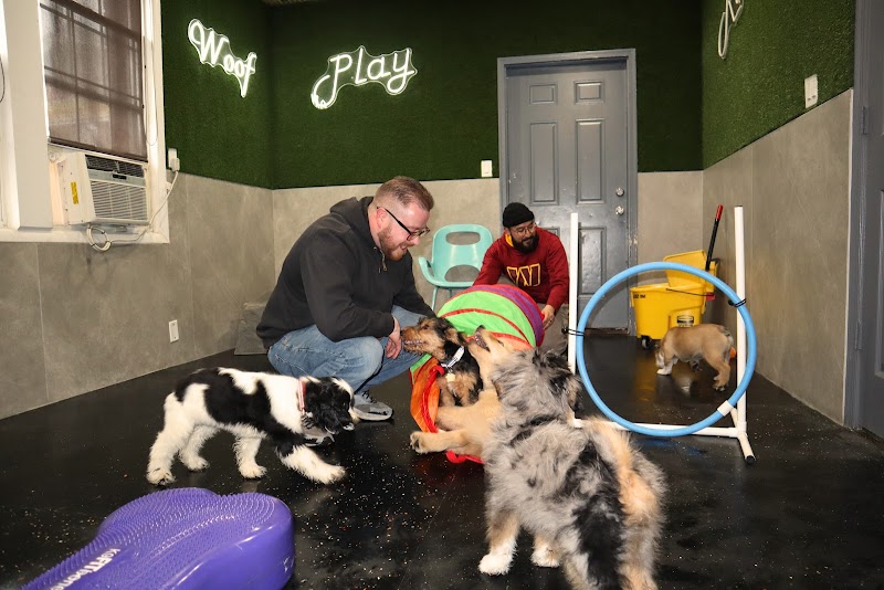 Happy Paws LLC cover image