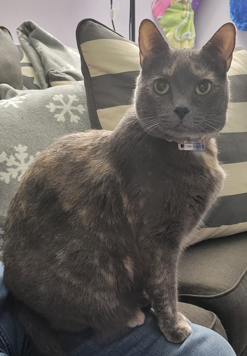 East Bay Veterinary Clinic cover image