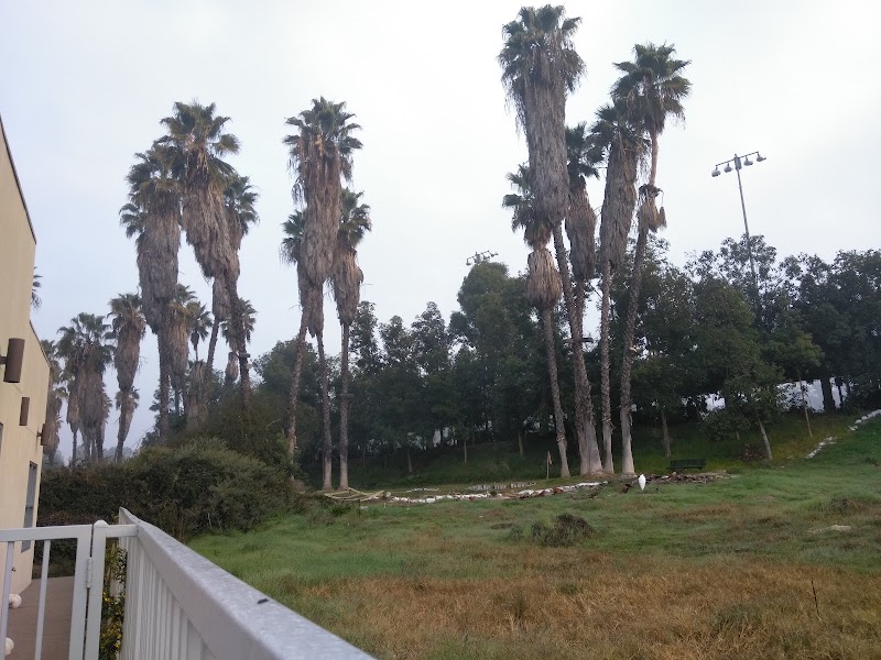 AAA Driving School cover image