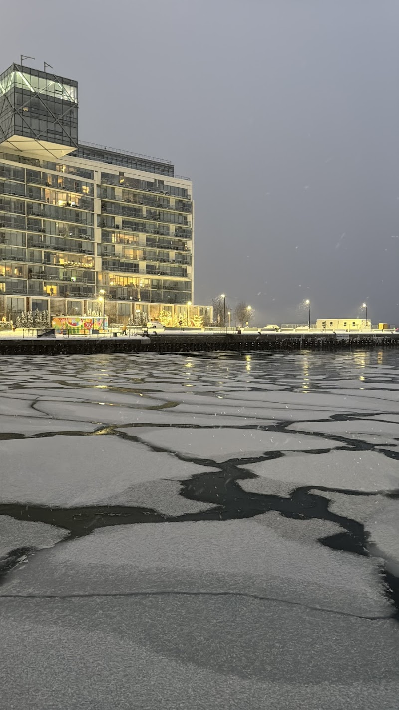 Toronto Yachts cover image