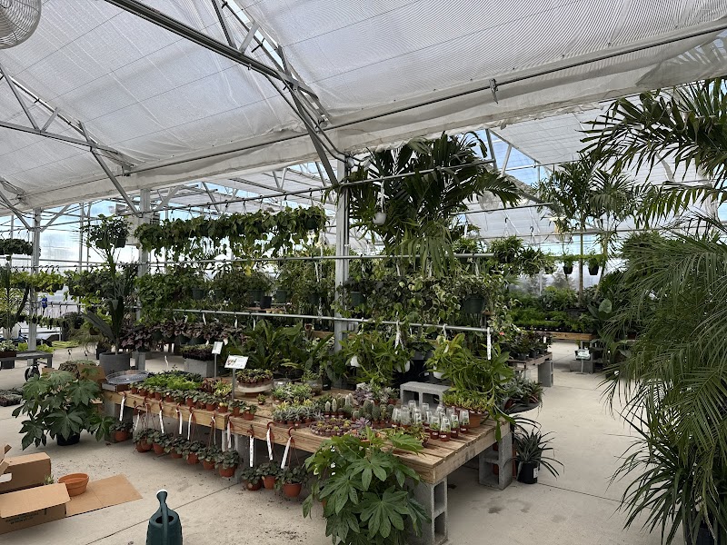 Cross Creek Nursery West End cover image
