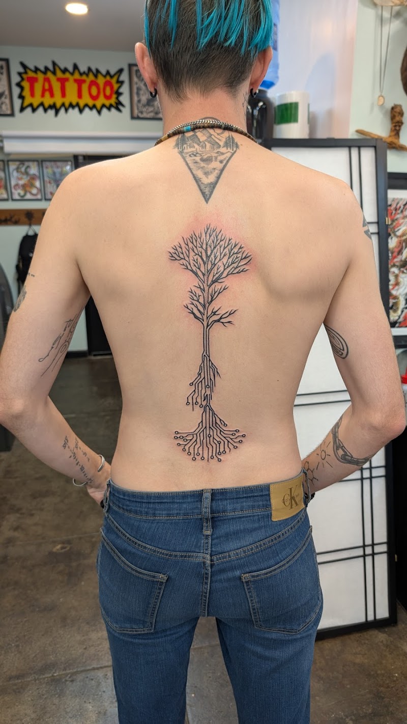 Boartooth Tattoo cover image