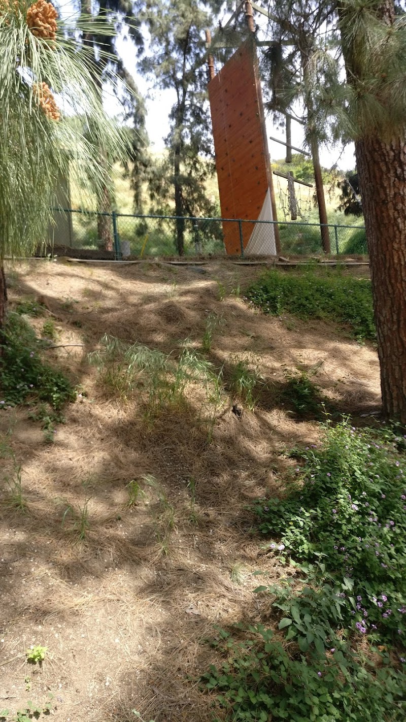 Camp Hollywoodland cover image