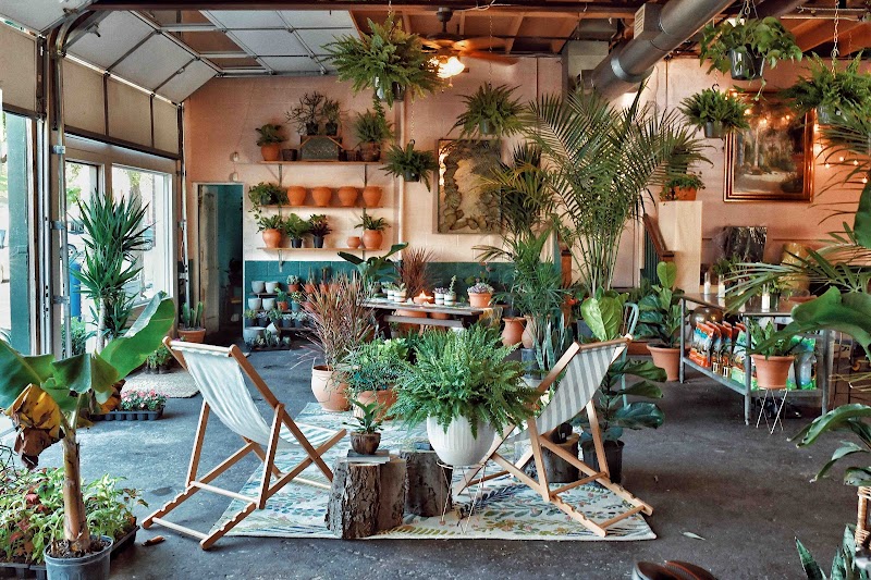 Oasis Plant Shop cover image