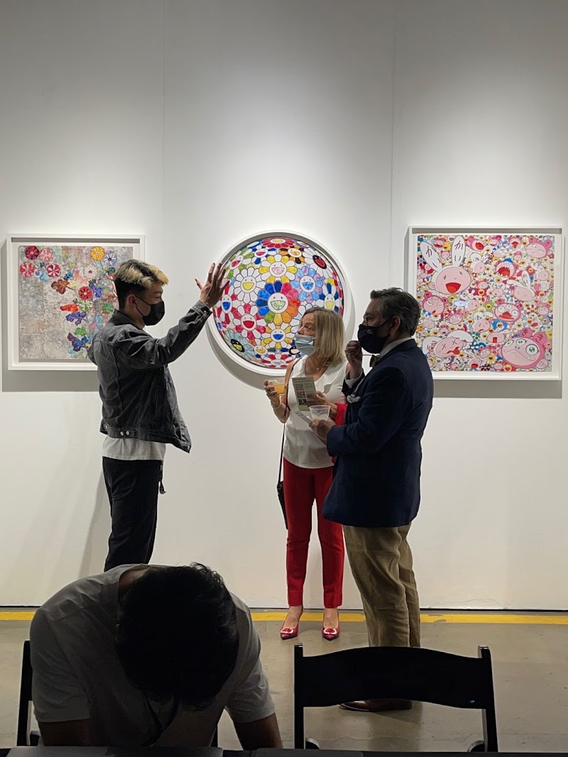 Pinto Gallery cover image