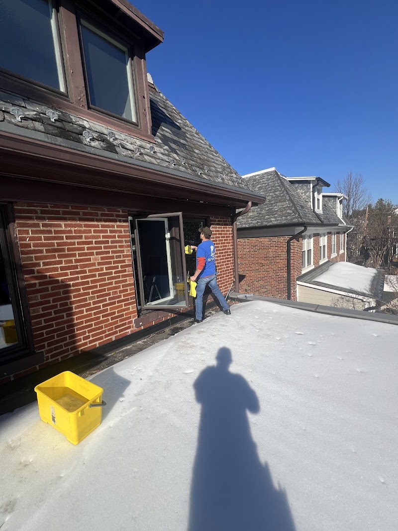 DMV WINDOWS cover image