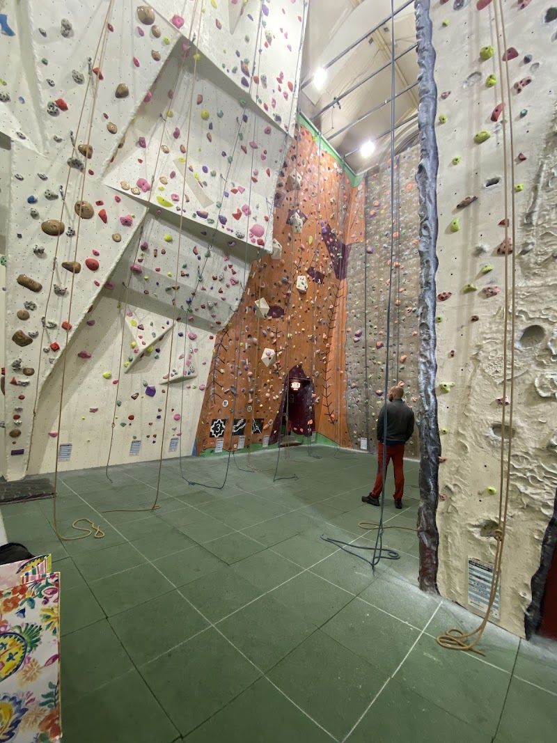 alien rock cover image