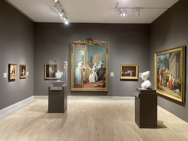 Dallas Museum of Art cover image