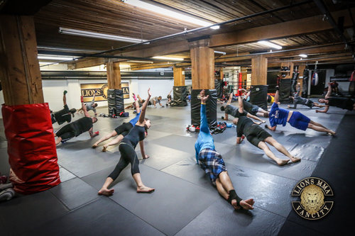 Lions MMA cover image