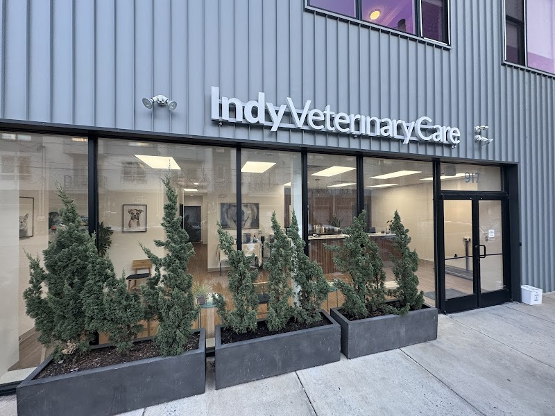 Indy Veterinary Care cover