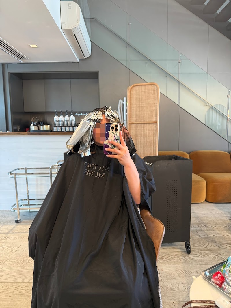 Studio Muse cover image