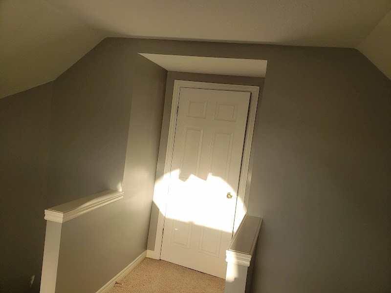 Roy Painting cover image