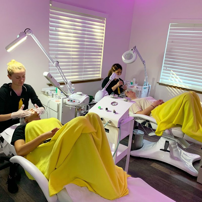 The Original Facial Bar cover image