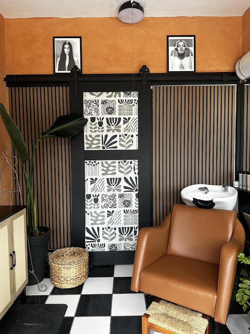 The Blowdry Lounge cover image