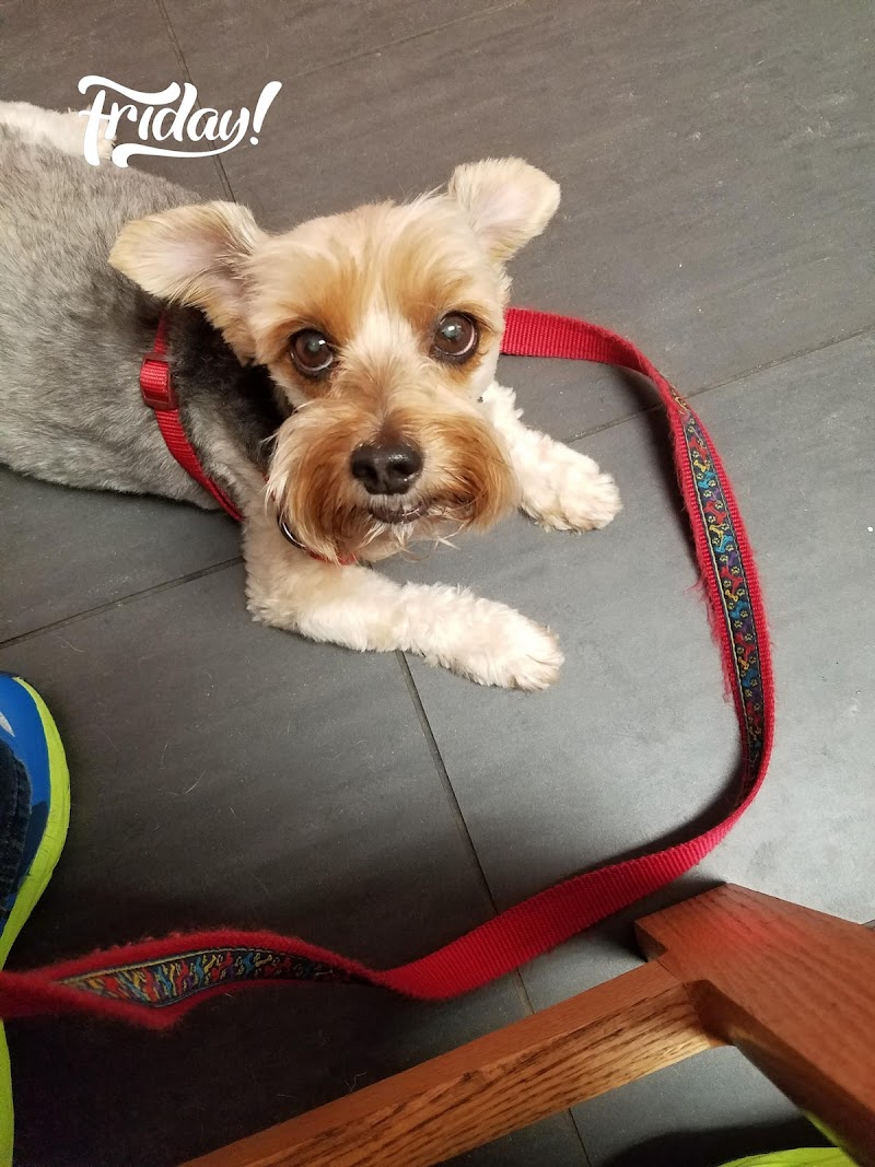 Burnham Park Animal Hospital cover image