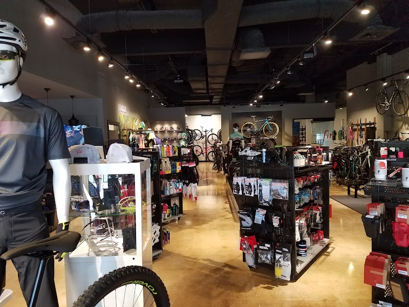 Bicycle Heaven Colonnade cover image