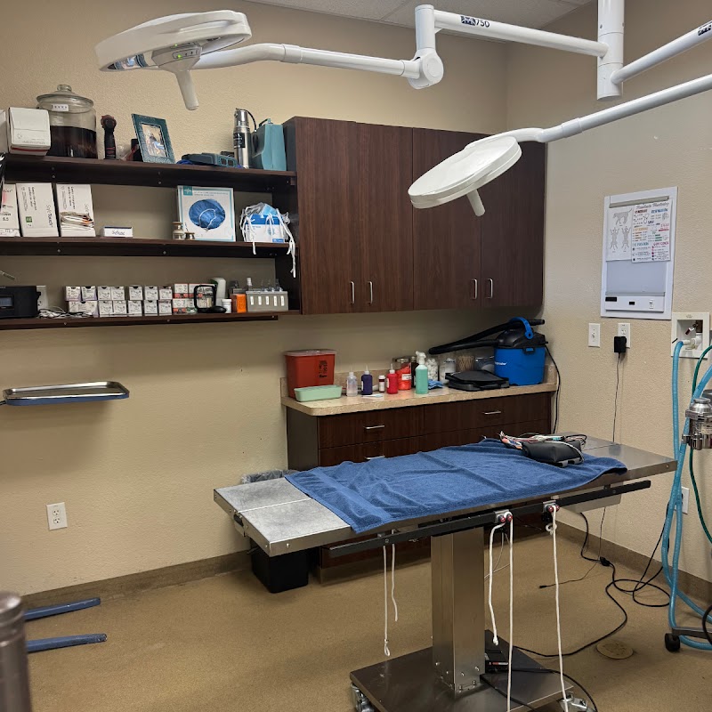 Bingle Veterinary Clinic cover image