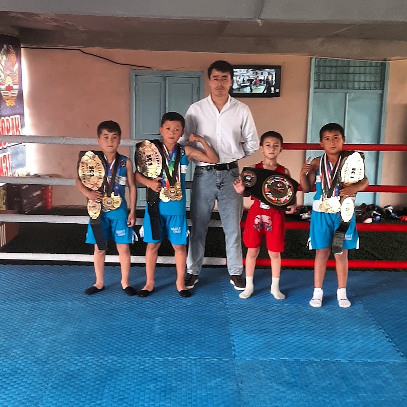 IFS MMA Gym, Belfast cover image