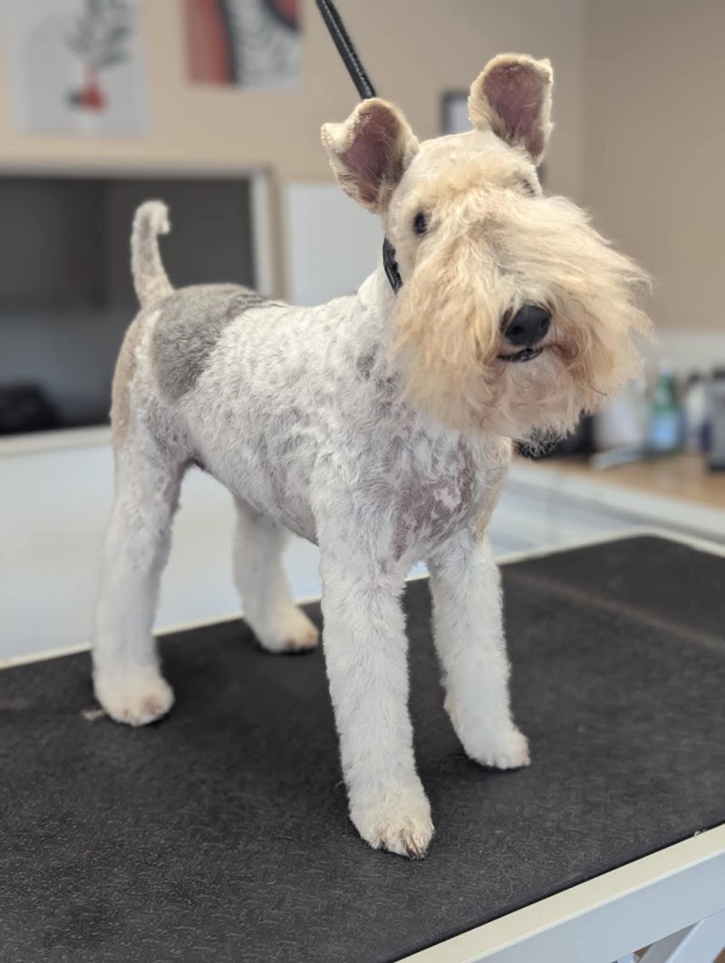 Golden Hour Grooming LLC cover