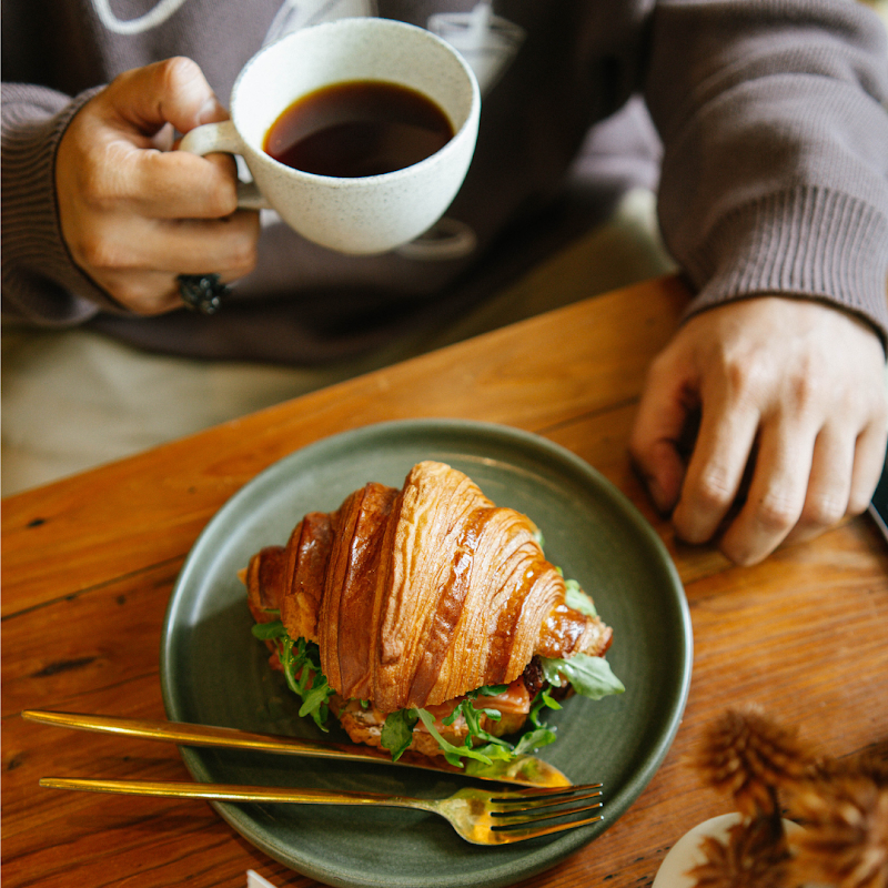 Magdalena Coffee & Houseplants cover image