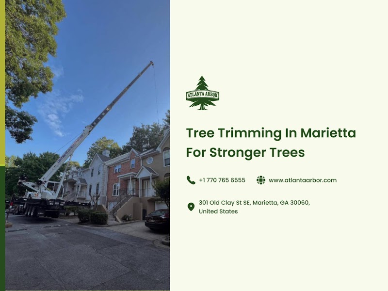 Atlanta Arbor Marietta Tree Service cover image