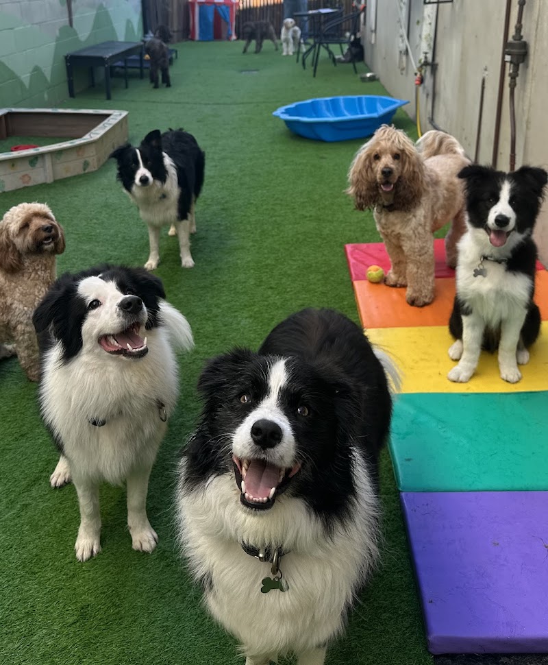 Little Buddies QLD Pty Ltd cover image