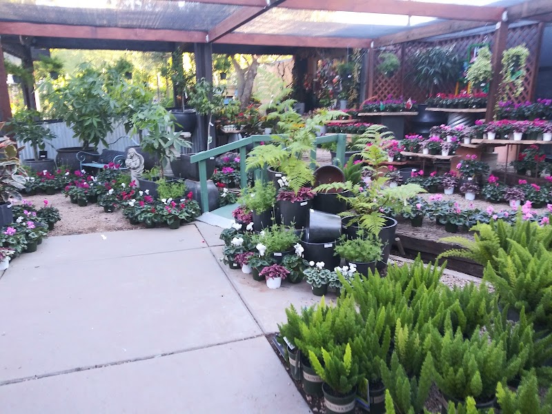 Berridge Nurseries cover image