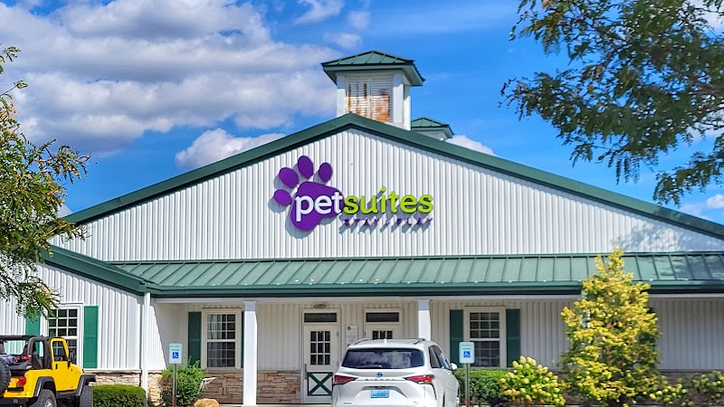 PetSuites Hamburg cover image