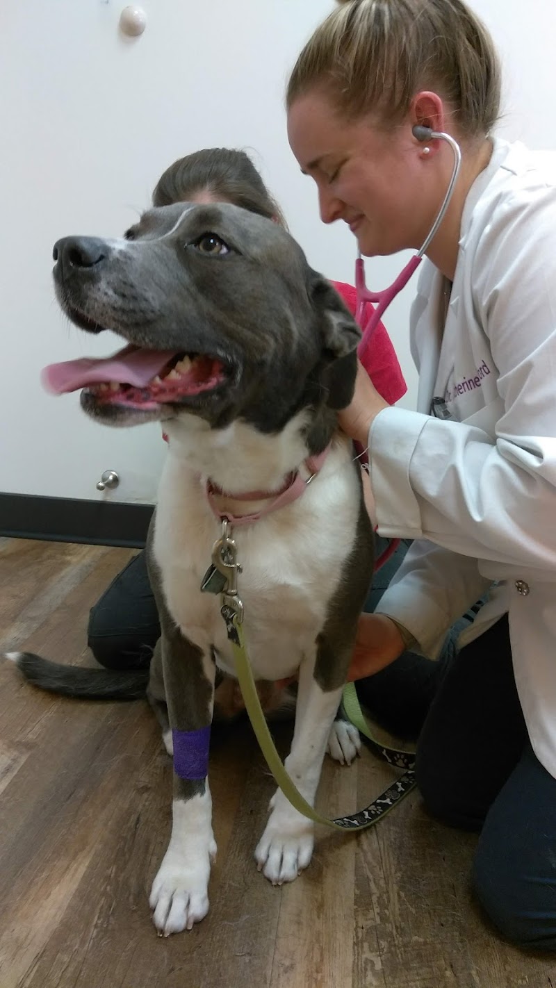 Nickel City Animal Hospital cover