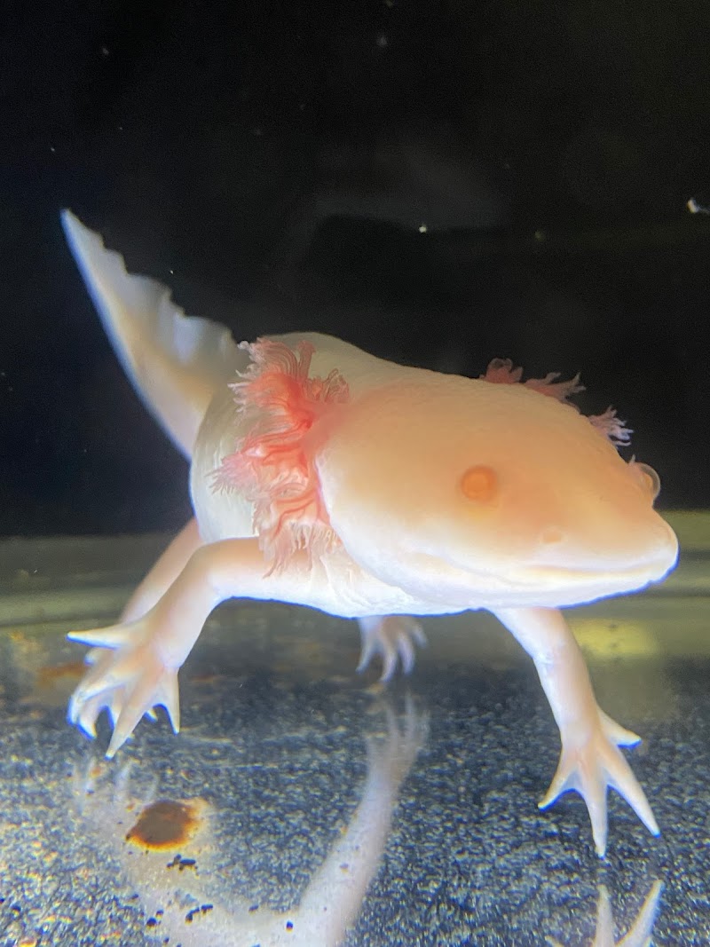 Fort Worth Aquarium cover image