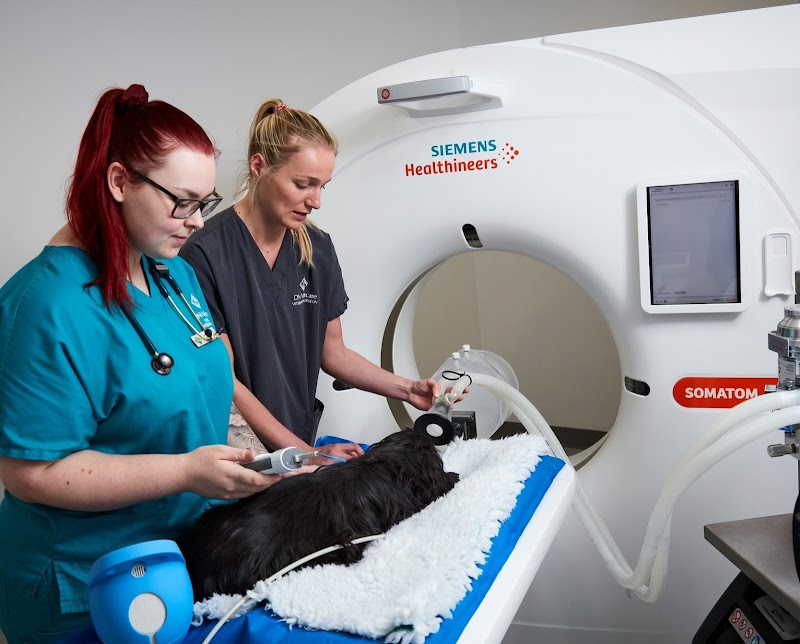 Streatham Hill Veterinary Surgery cover image