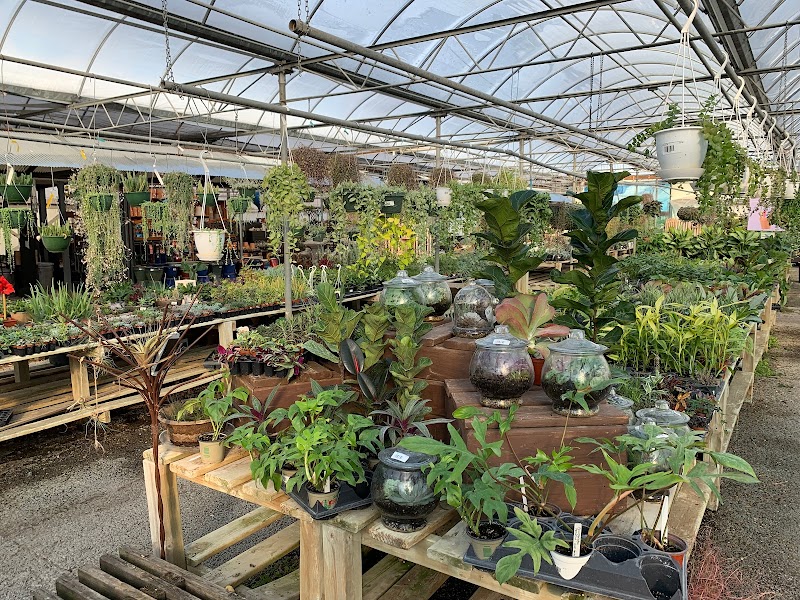 Dammann's Garden Center & Greenhouse, Inc. cover image