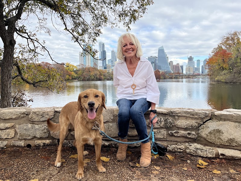 Mary's Buddies Dog Walking & Pet Sitting cover image