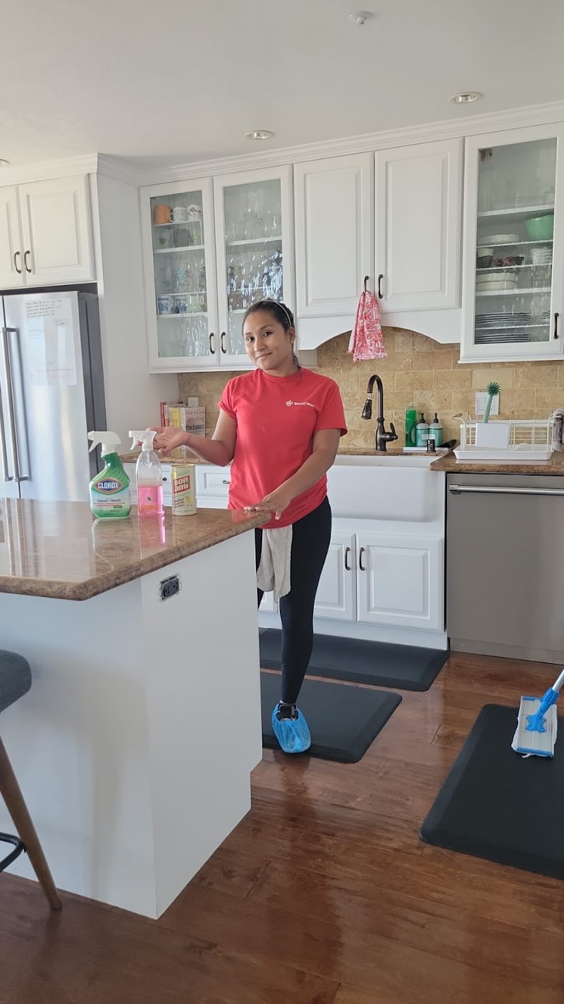 BerryClean cover image