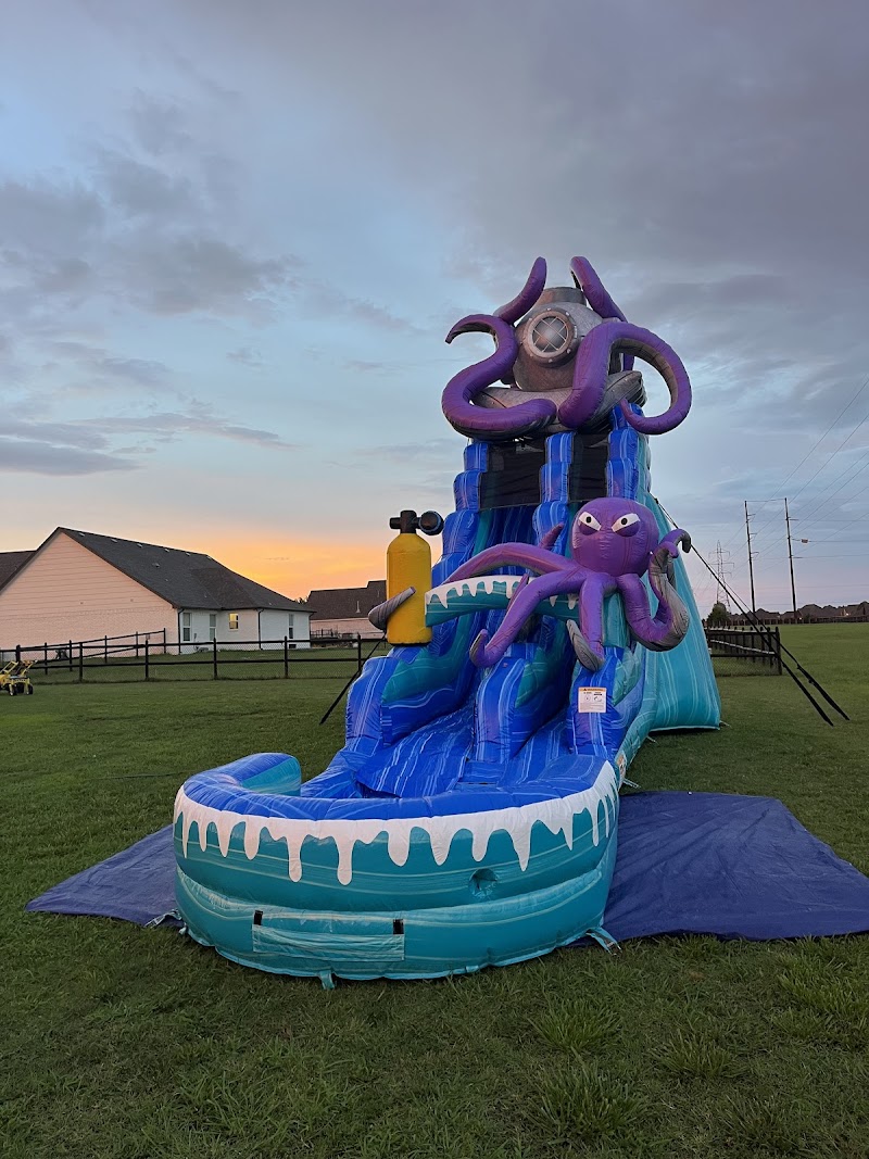 BISON Party Rental cover image