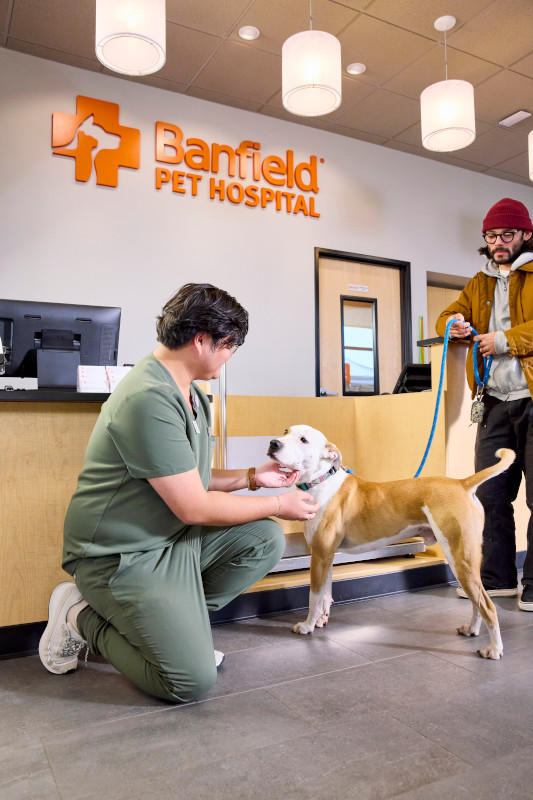 Banfield Pet Hospital cover image
