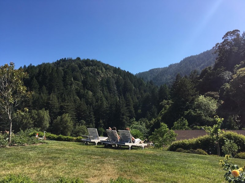 Savannah-Chanelle Vineyards cover image