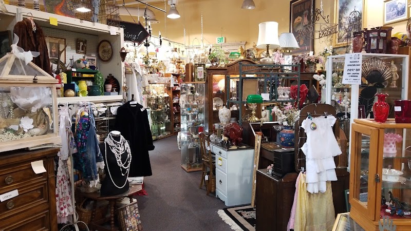 Magnolia Antiques & Home Interiors cover image