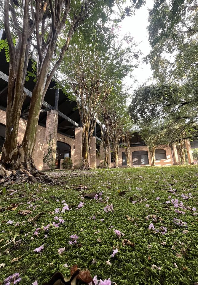 Houston Acne Specialists cover image