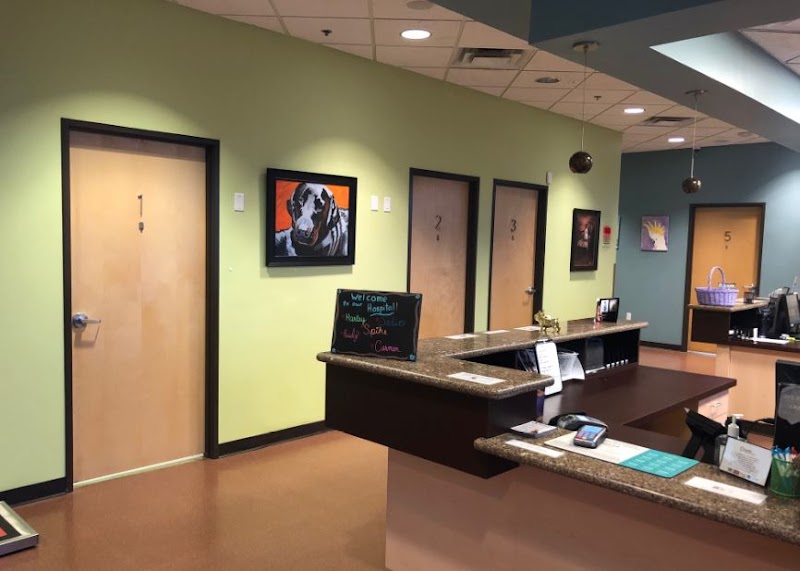 Seville Veterinary Hospital cover image