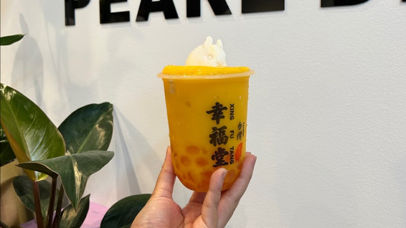 Xing Fu Tang cover image