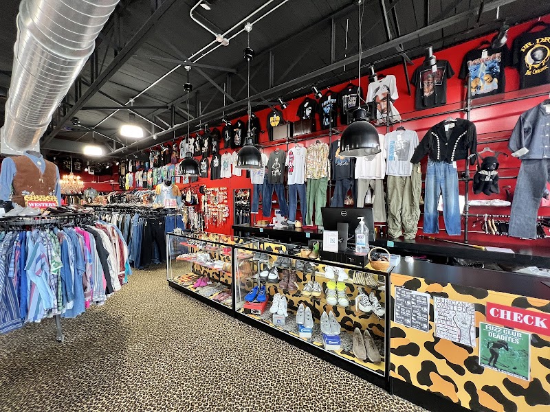 Leopard Lounge cover image