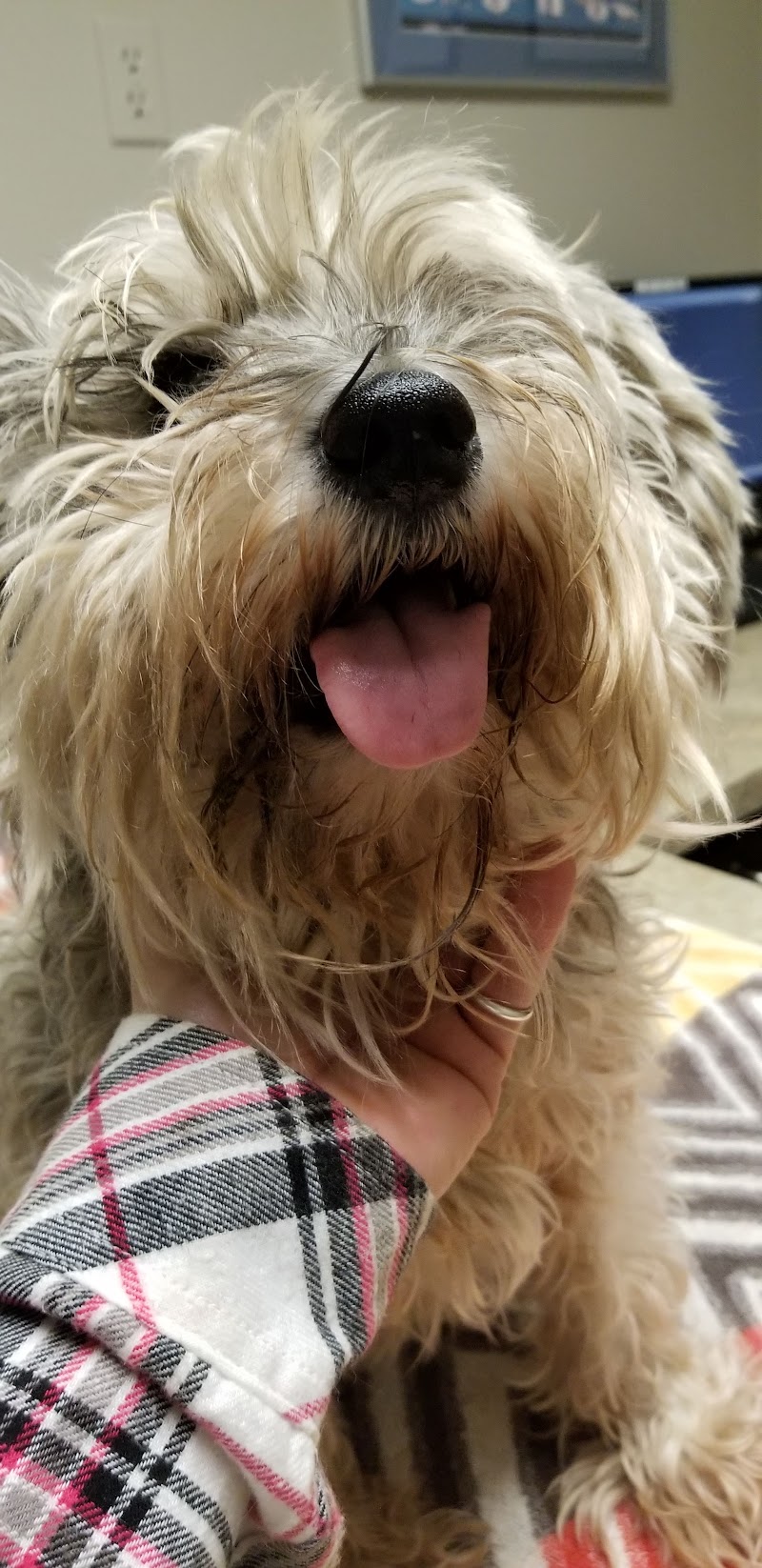 Heatherdowns Veterinary Clinic cover image